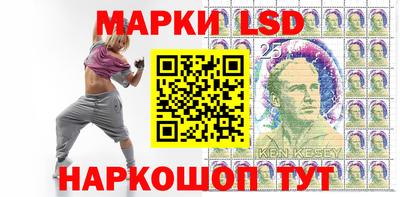 шишки Обь