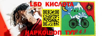шишки Обь
