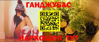 шишки Обь