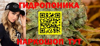 шишки Нягань