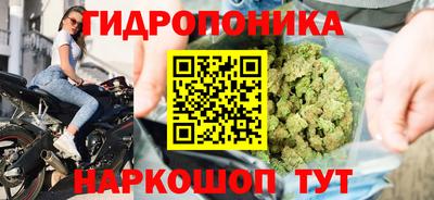 шишки Нягань