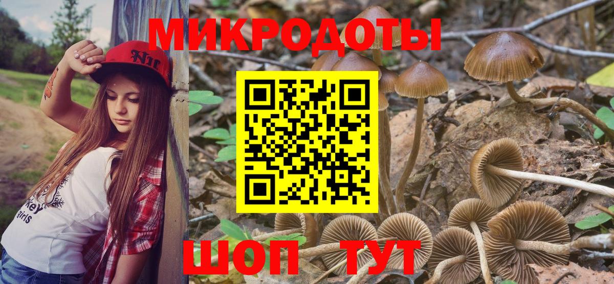Галлюциногенные грибы мицелий Самара