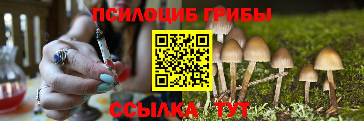 Самара  Псилоцибиновые грибы Psilocybe  Вход с VPN 