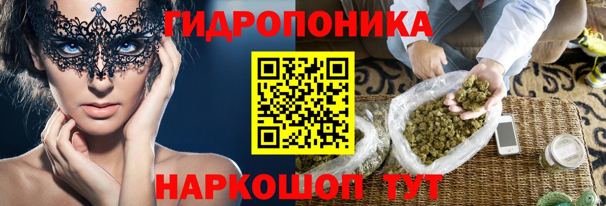 Шишки марихуана Ganja  Вход с VPN  Шишки марихуана Ganja  МАРИХУАНА SATIVA & INDICA  Самара 
